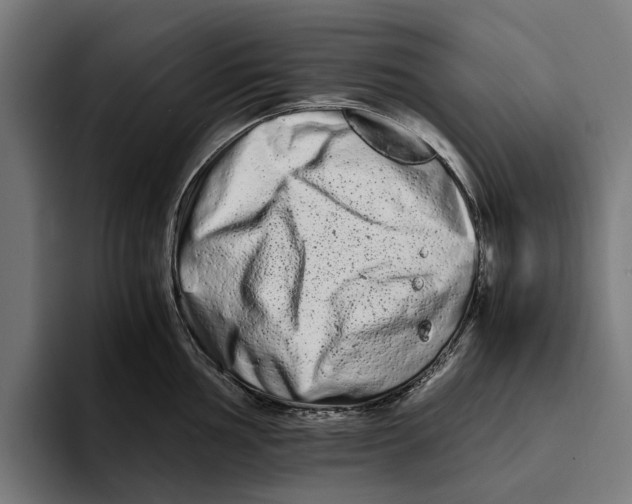 X0000094081002200711161603