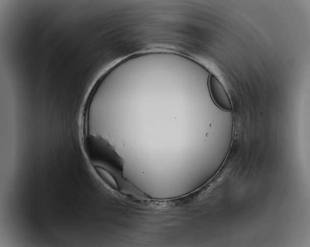 X0000094081003200711161603