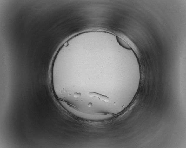 X0000094081004200711161603