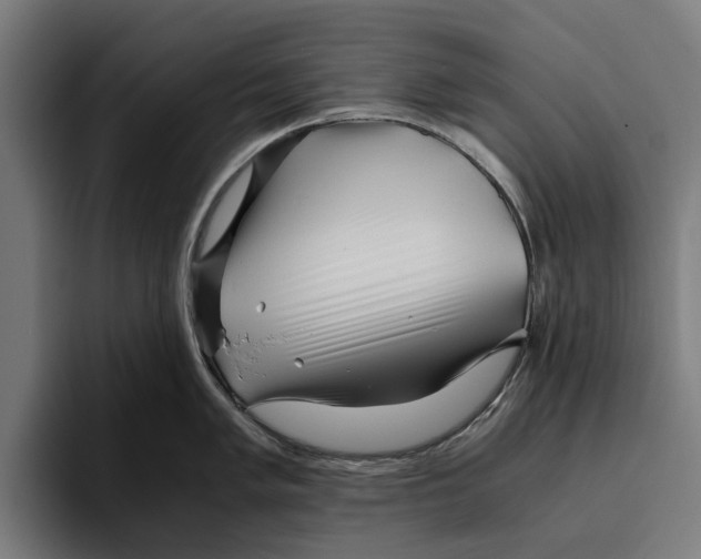 X0000094081005200711161603
