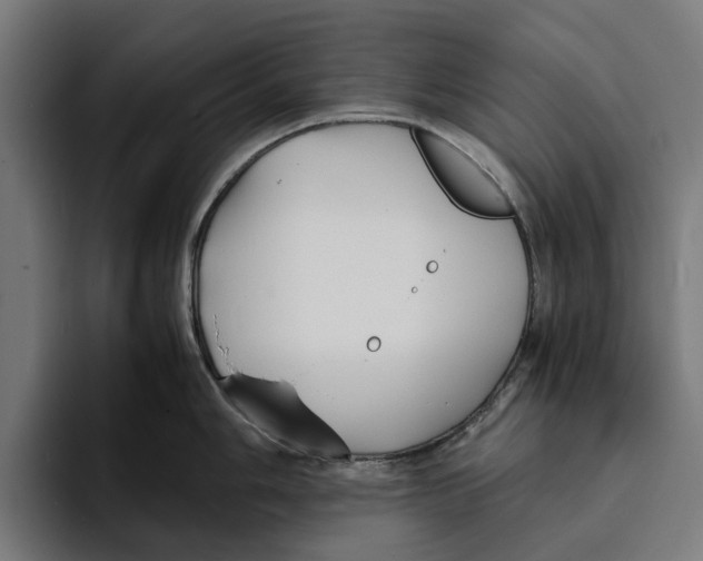 X0000094081006200711161603
