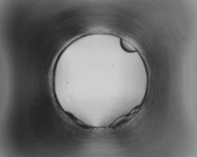 X0000094081008200711161603