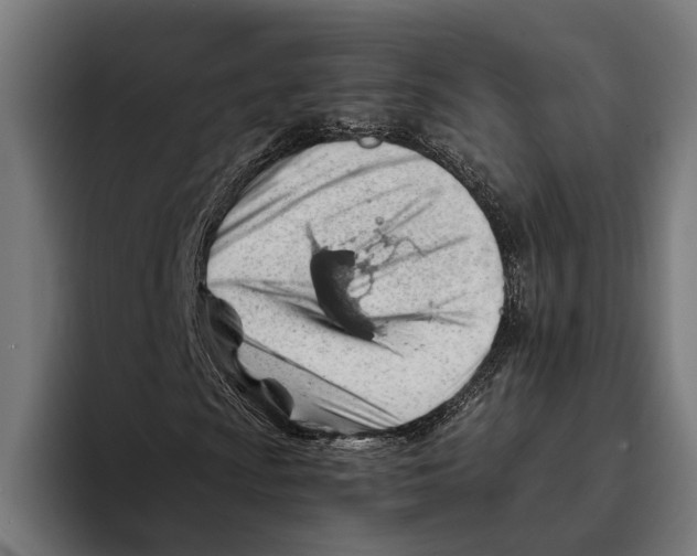 X0000094081009200711161603