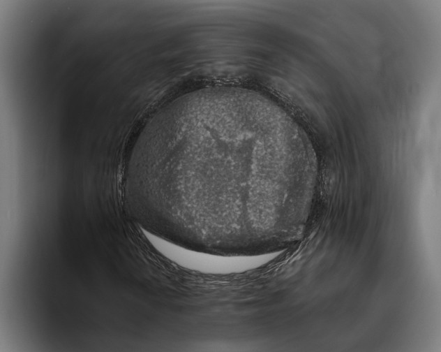 X0000094081010200711161603