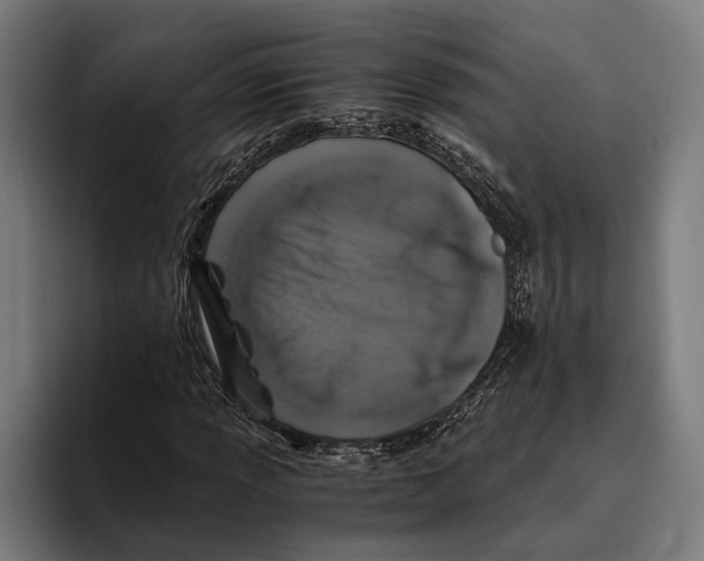 X0000094081013200711161603