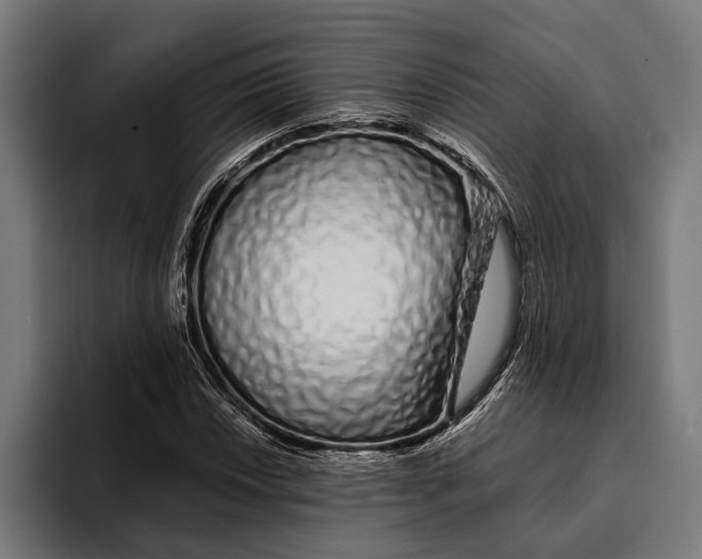 X0000094081018200711161603