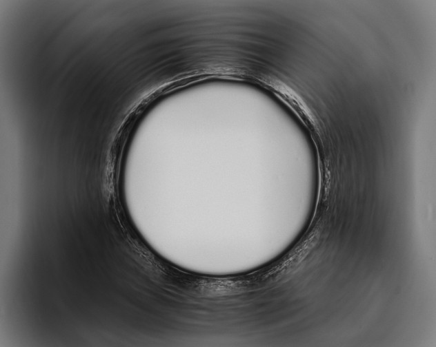 X0000094081019200711161603