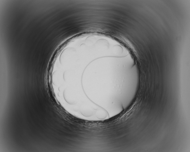 X0000094081020200711161603