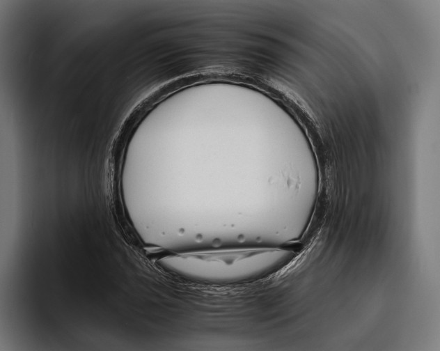 X0000094081021200711161603