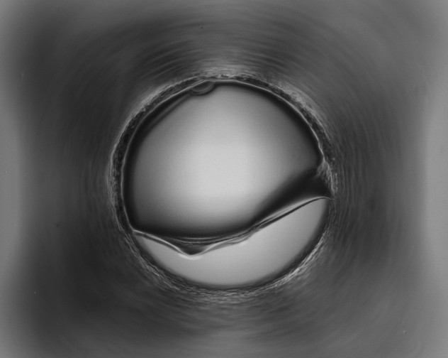 X0000094081022200711161603