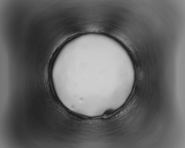 X0000094081023200711161603