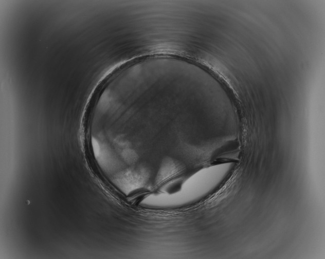 X0000094081024200711161603