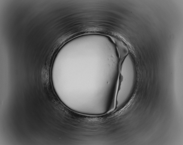X0000094081025200711161603