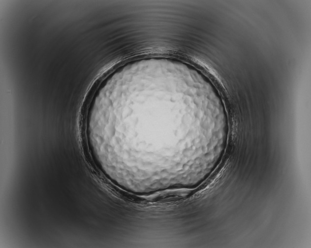 X0000094081026200711161603
