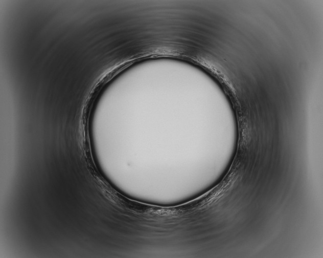 X0000094081027200711161603