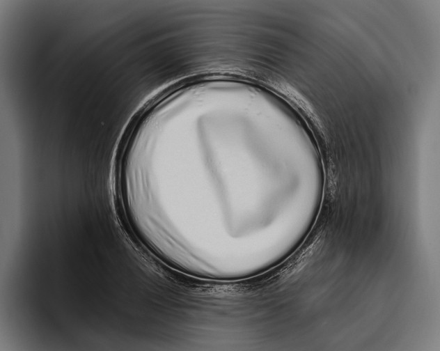 X0000094081028200711161603