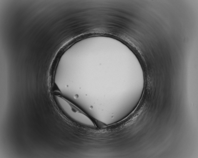 X0000094081029200711161603