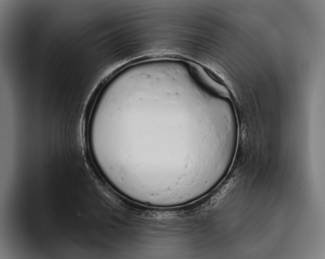 X0000094081030200711161603