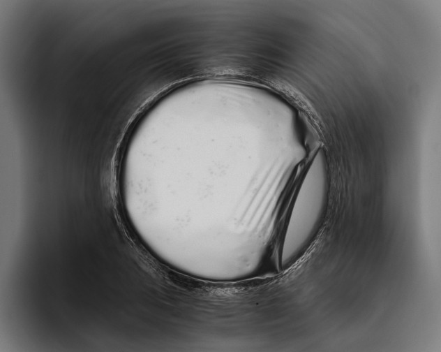 X0000094081031200711161603