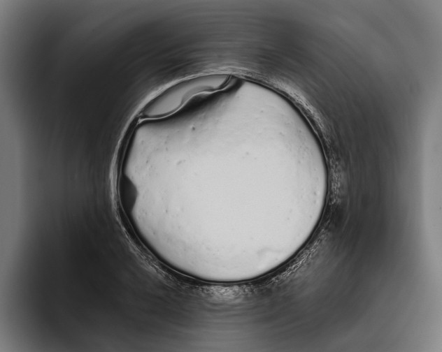 X0000094081032200711161603