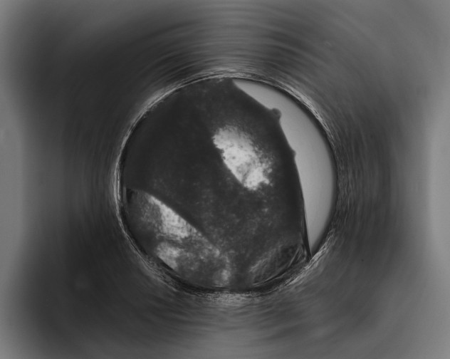 X0000094081034200711161603