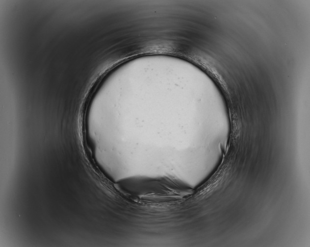 X0000094081035200711161603