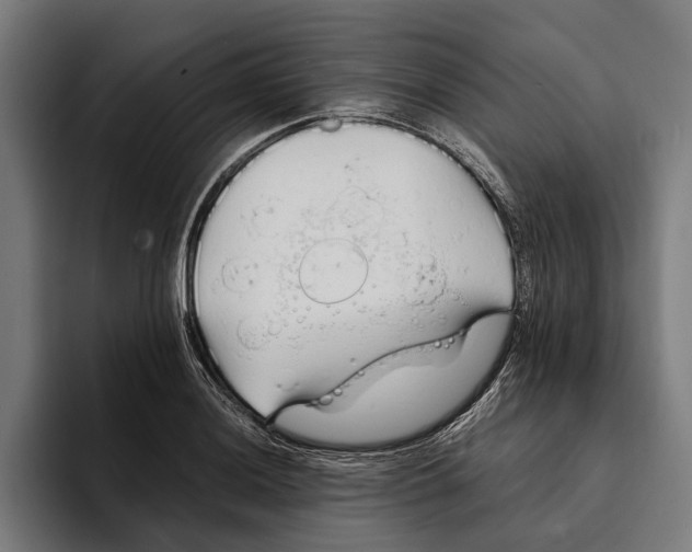 X0000094081036200711161603
