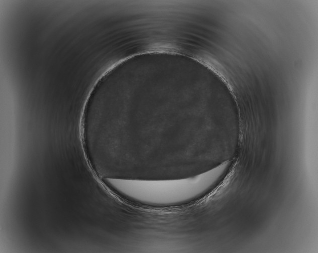 X0000094081037200711161603