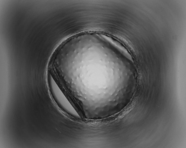 X0000094081038200711161603