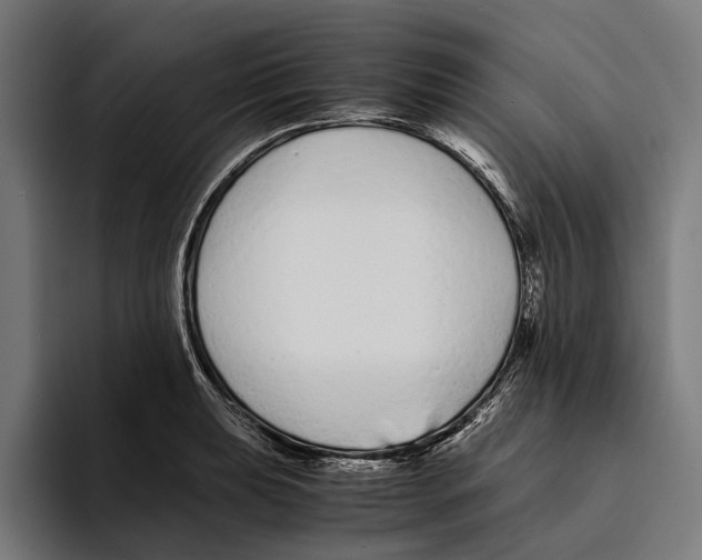 X0000094081039200711161603
