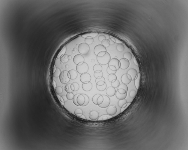 X0000094081040200711161603
