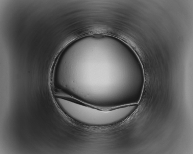 X0000094081042200711161603