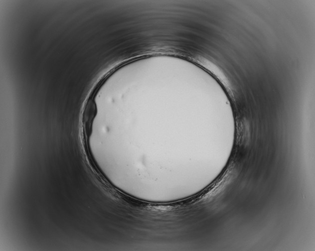 X0000094081043200711161603