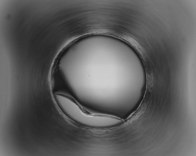 X0000094081046200711161603