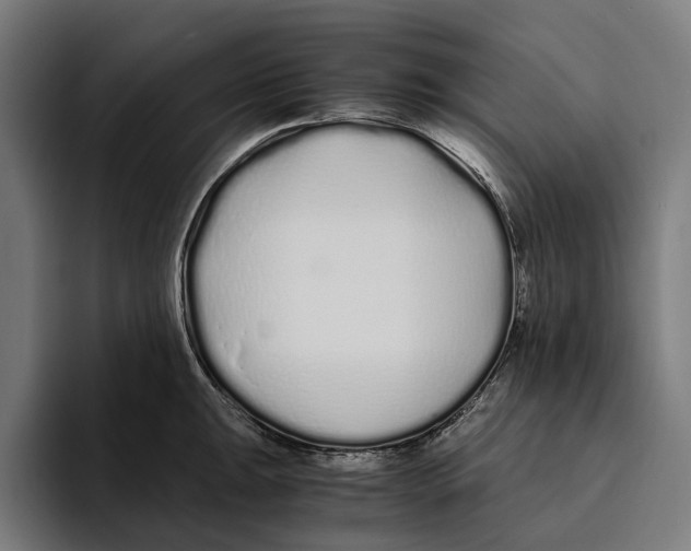 X0000094081047200711161603