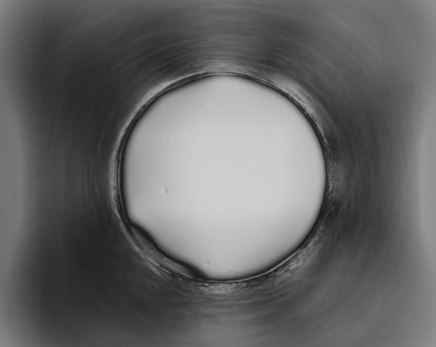 X0000094081048200711161603