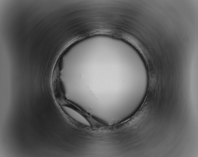 X0000094081050200711161603