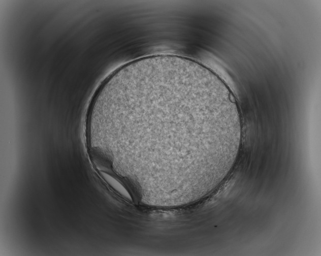 X0000094081051200711161603