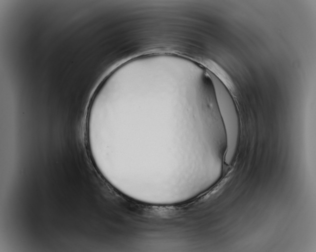 X0000094081052200711161603