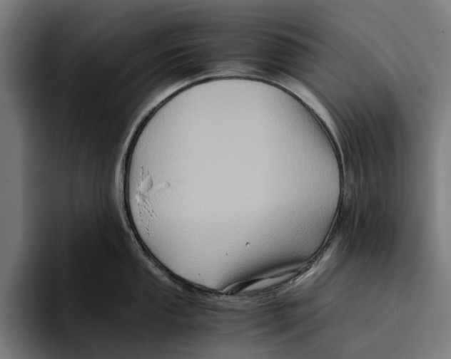 X0000094081053200711161603