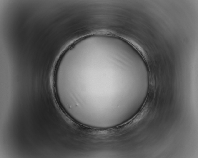 X0000094081054200711161603
