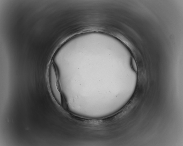 X0000094081055200711161603