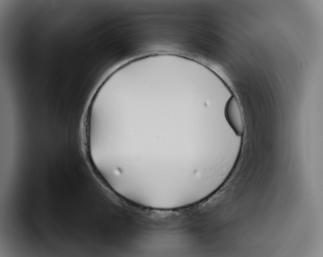 X0000094081056200711161603