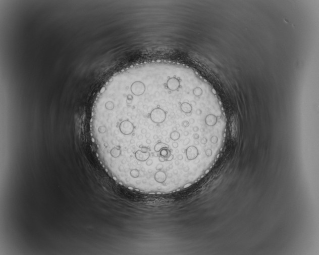 X0000094081059200711161603