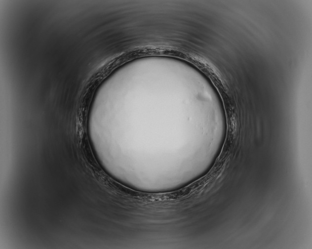 X0000094081064200711161603