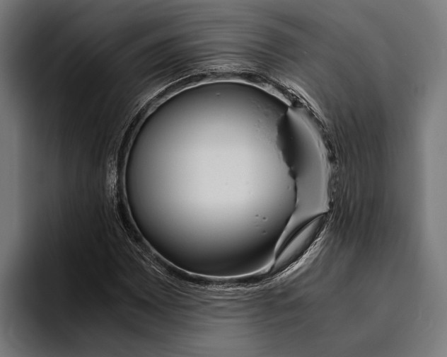 X0000094081065200711161603