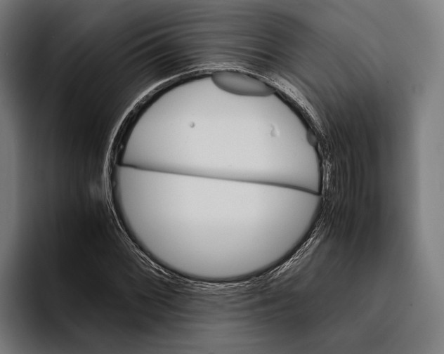 X0000094081068200711161603