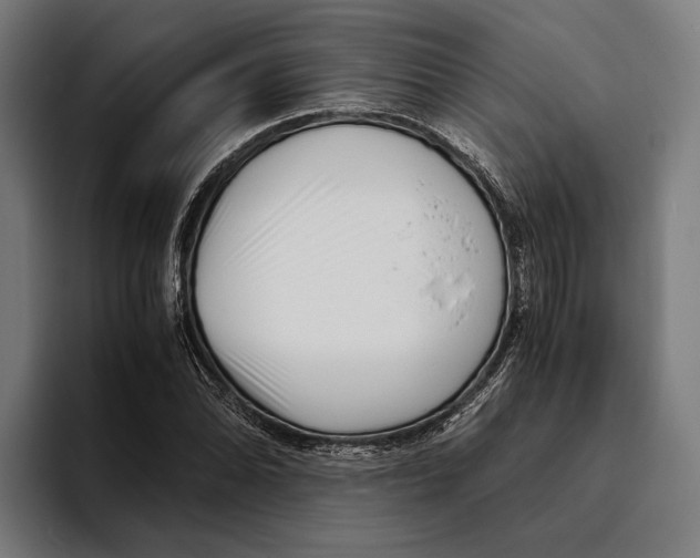 X0000094081070200711161603