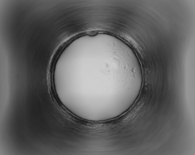 X0000094081072200711161603