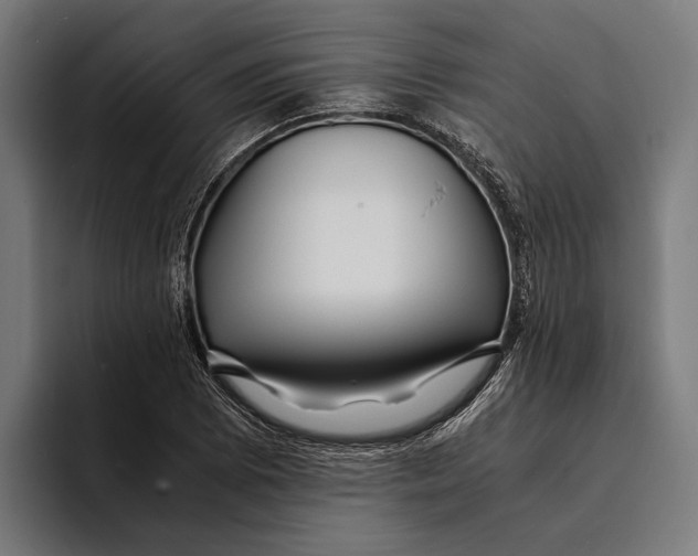 X0000094081073200711161602